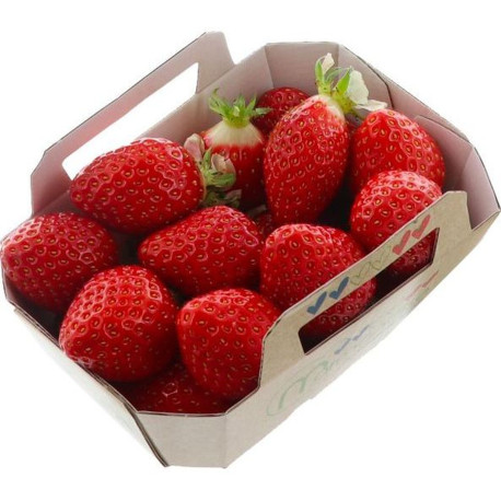 FRAISE GARIGUETTE 8X200G